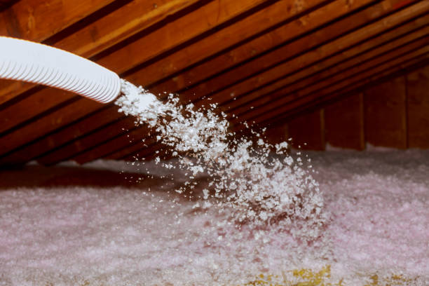 Venetian Village, IL Insulation Contractor Company