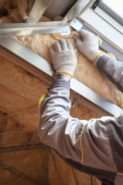 Best Residential Insulation in Venetian Vlage, IL