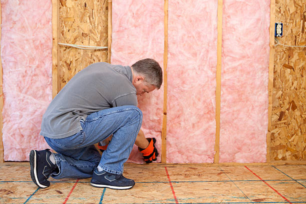 Best Commercial Insulation in Venetian Vlage, IL