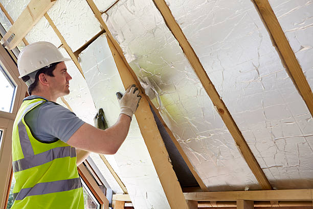 Best Cellulose Insulation in Venetian Vlage, IL