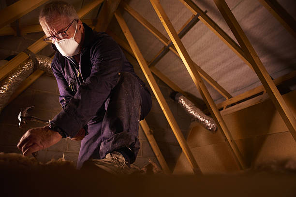Best Insulation Maintenance and Repair in Venetian Vlage, IL